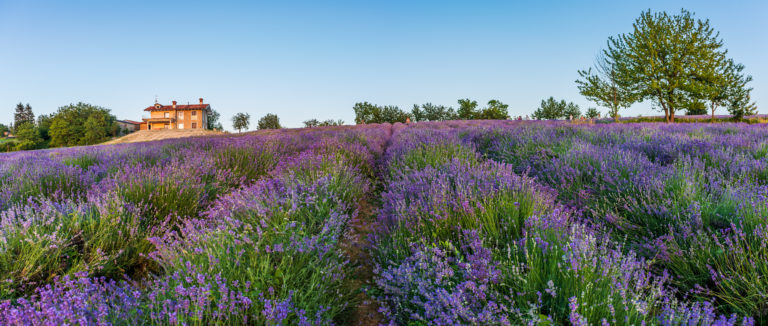 Buying A Property In France